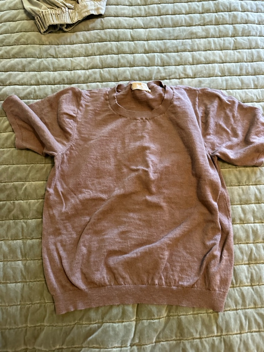 Free People Women's Short-Sleeve Sweater - Mauve Pink